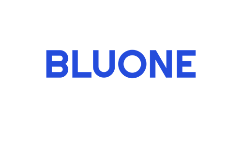 Bluone Capital PLC logo